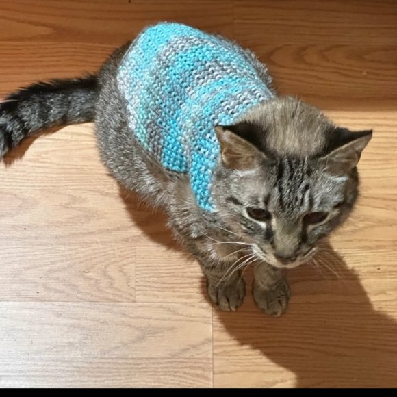 Hand Crafted Knit Turquoise Pet Jacket Fur Baby Clothes Cat Dog Sweater Coat - Picture 9 of 9